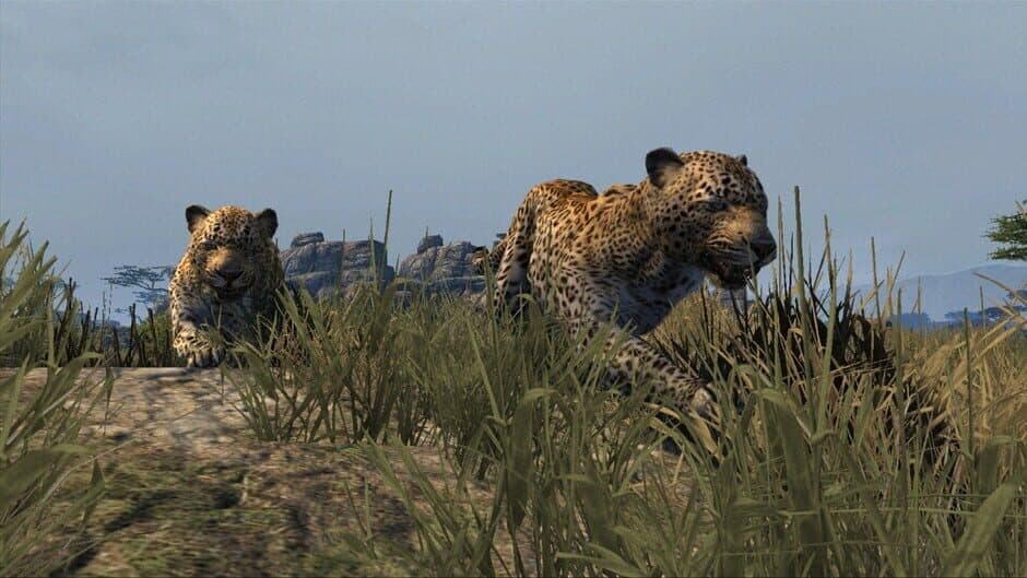 Скриншот 9 из Cabela's Dangerous Hunts 2013