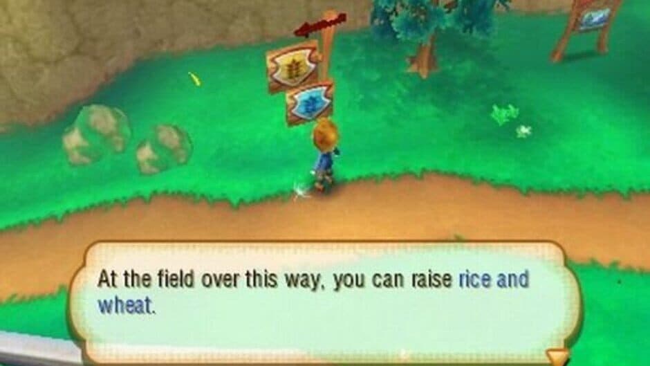 Скриншот 2 из Story of Seasons