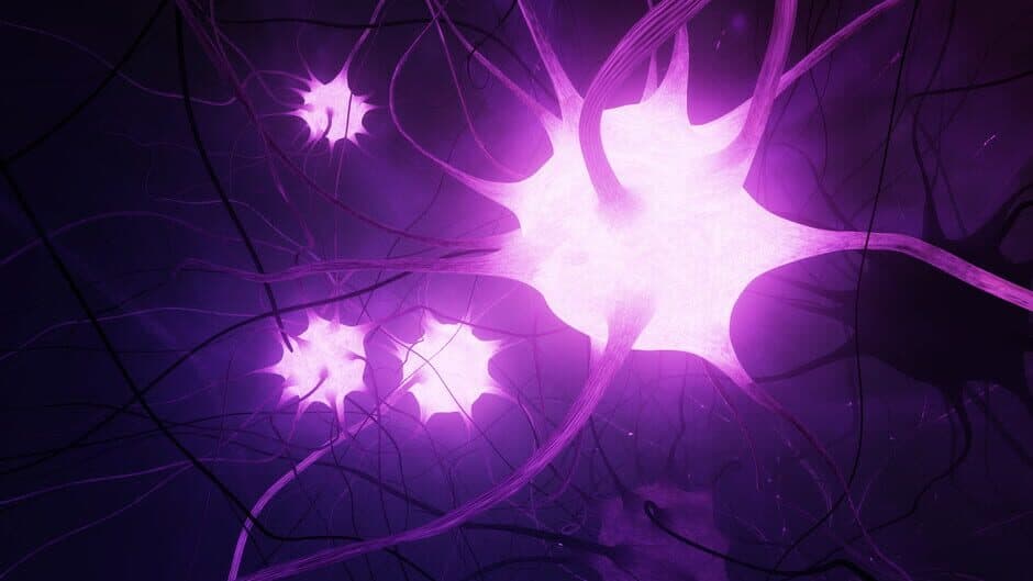 Скриншот 4 из GE Neuro