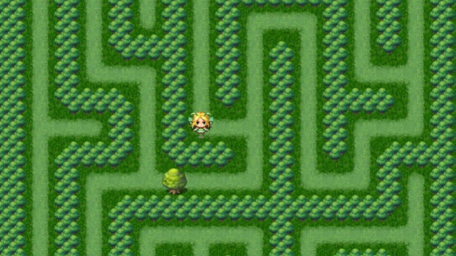 Скриншот 4 из Maze Quest 1: The Forest