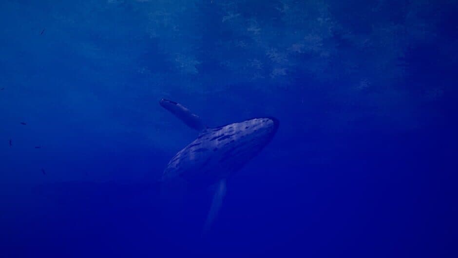 Скриншот 3 из Call of the Ocean