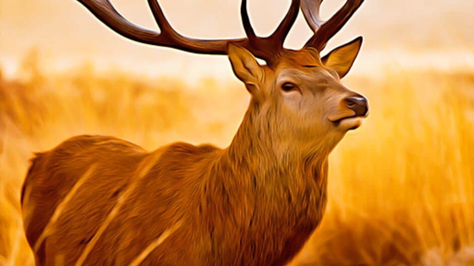 Скриншот 3 из Wild Deer Hunt Jungle Sniper