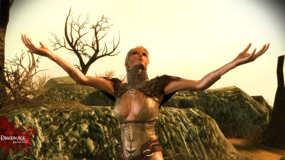 Скриншот 1 из Dragon Age: Origins - Awakening