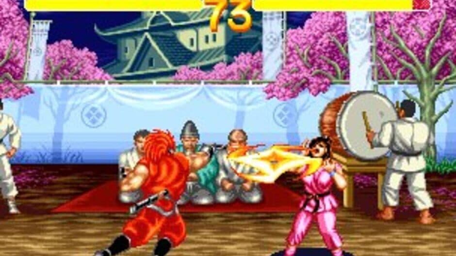 Скриншот 6 из World Heroes 2