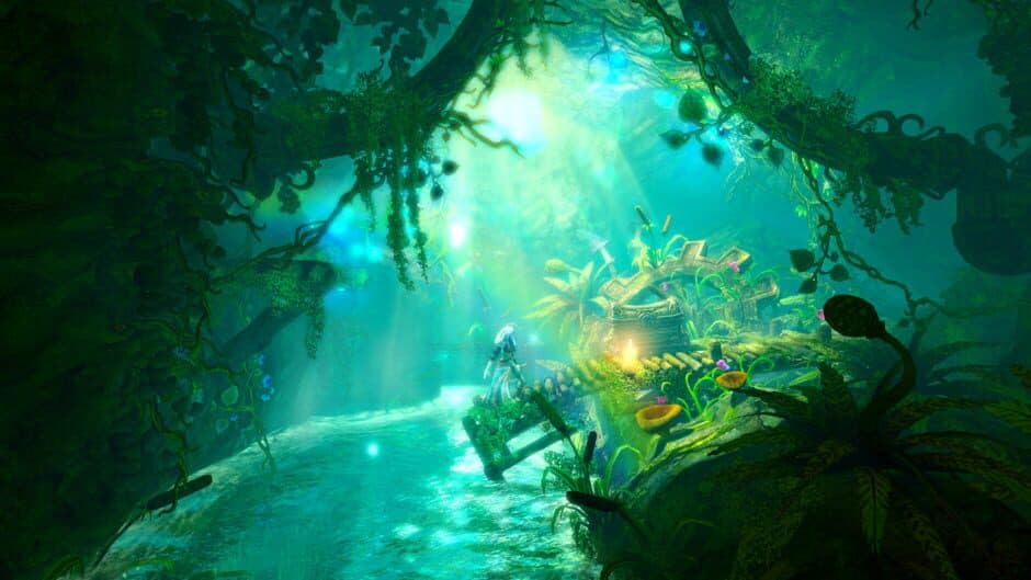 Скриншот 11 из Trine 2 Director's Cut