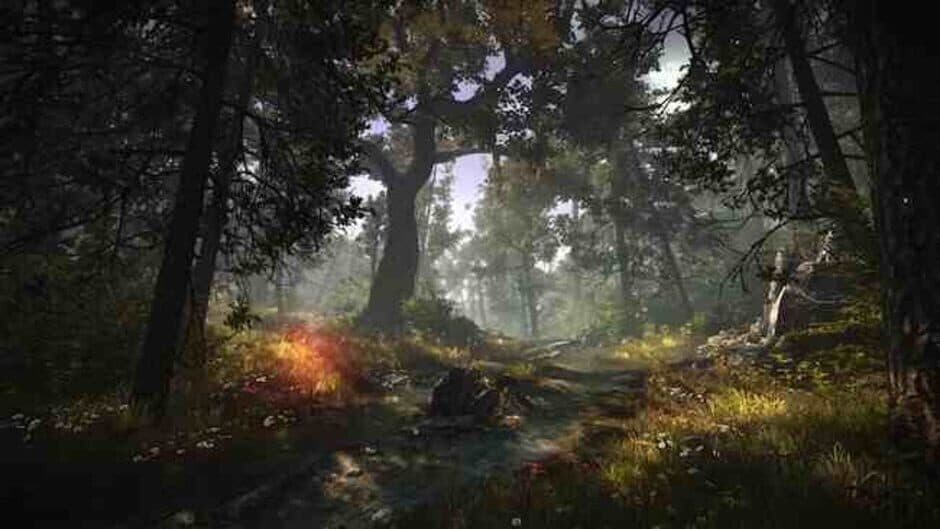 Скриншот 1 из The Witcher 2: Assassins of Kings - Enhanced Edition