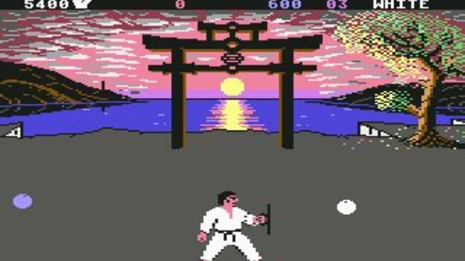 Скриншот 3 из International Karate +