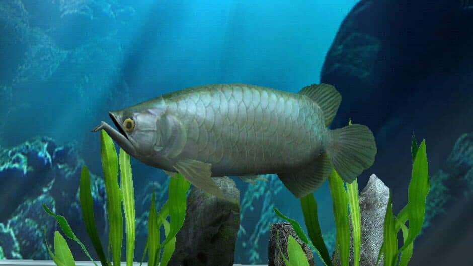 Скриншот 1 из My Aquarium