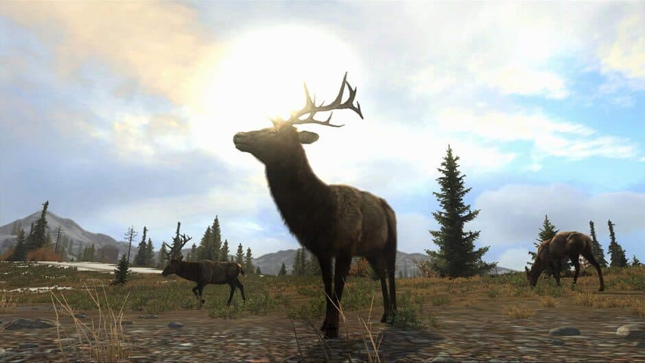 Скриншот 5 из Cabela's Big Game Hunter: Pro Hunts