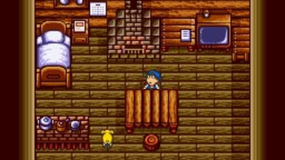 Скриншот 12 из Harvest Moon
