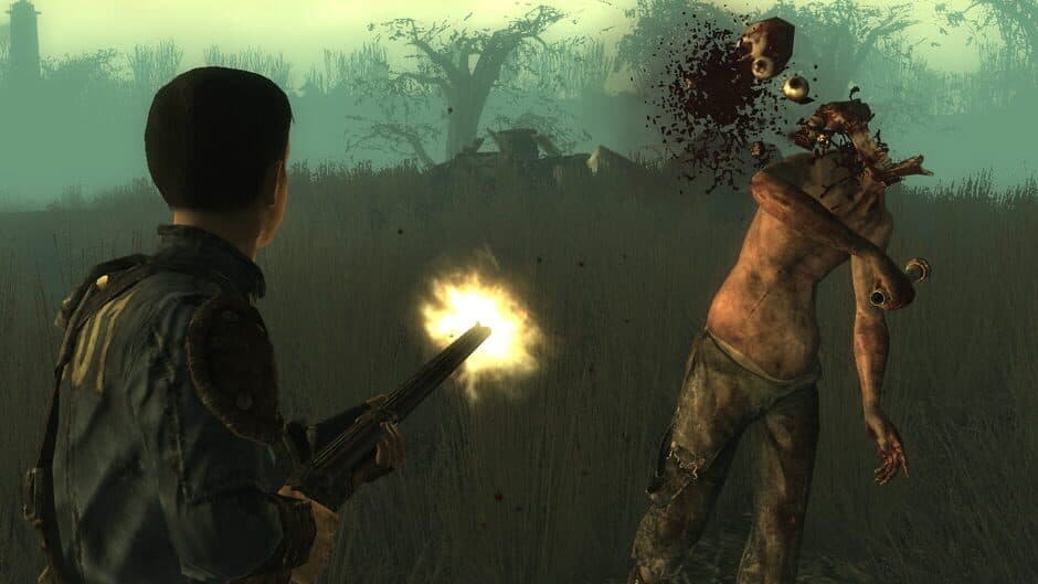 Скриншот 6 из Fallout 3: Point Lookout
