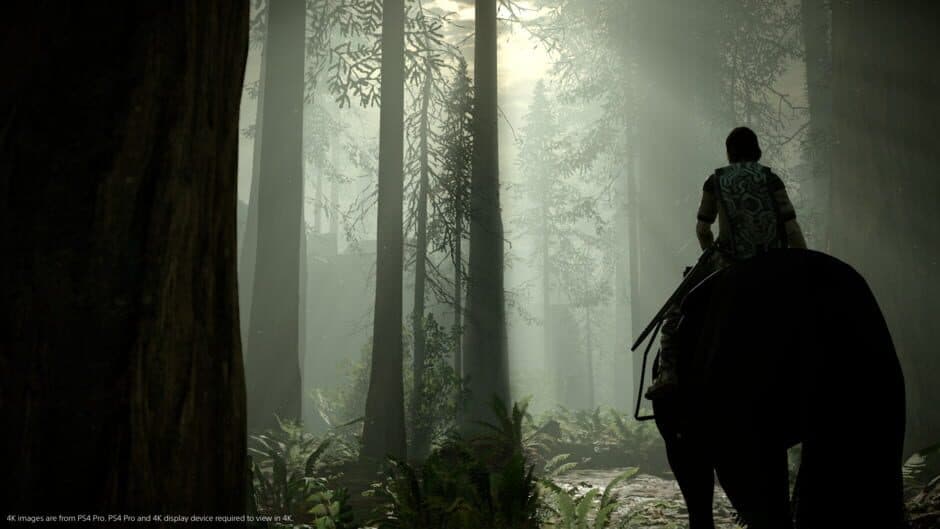 Скриншот 9 из Shadow of the Colossus