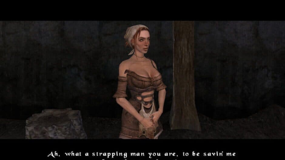 Скриншот 3 из The Bard's Tale