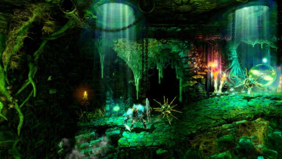 Скриншот 12 из Trine 2 Director's Cut