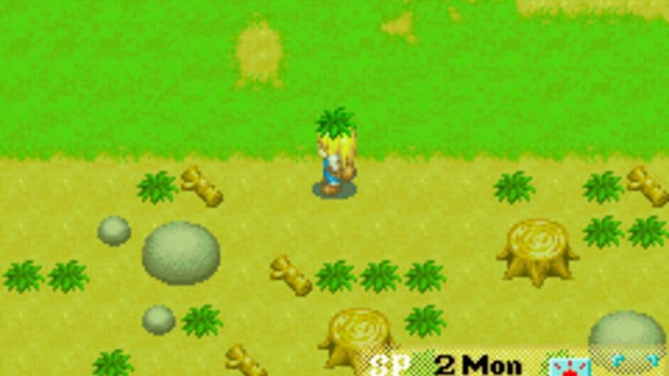 Скриншот 1 из Harvest Moon: More Friends of Mineral Town