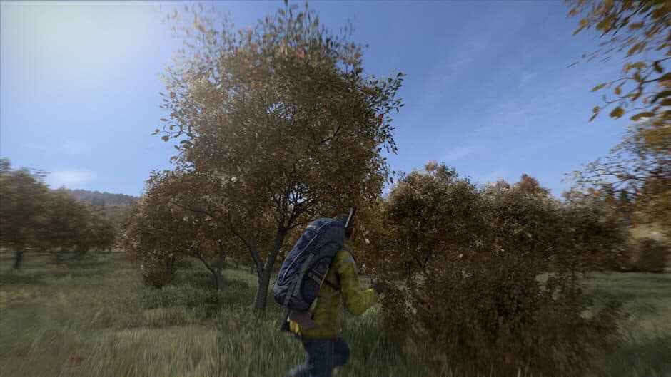 Скриншот 5 из DayZ