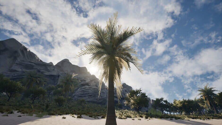 Скриншот 2 из Palm Simulator 2