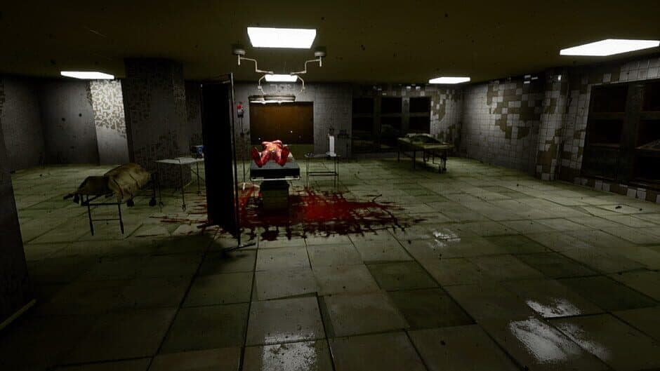 Скриншот 1 из Liminal: The Forgotten Maze