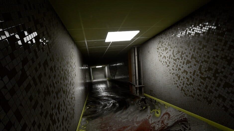 Скриншот 4 из Liminal: The Forgotten Maze