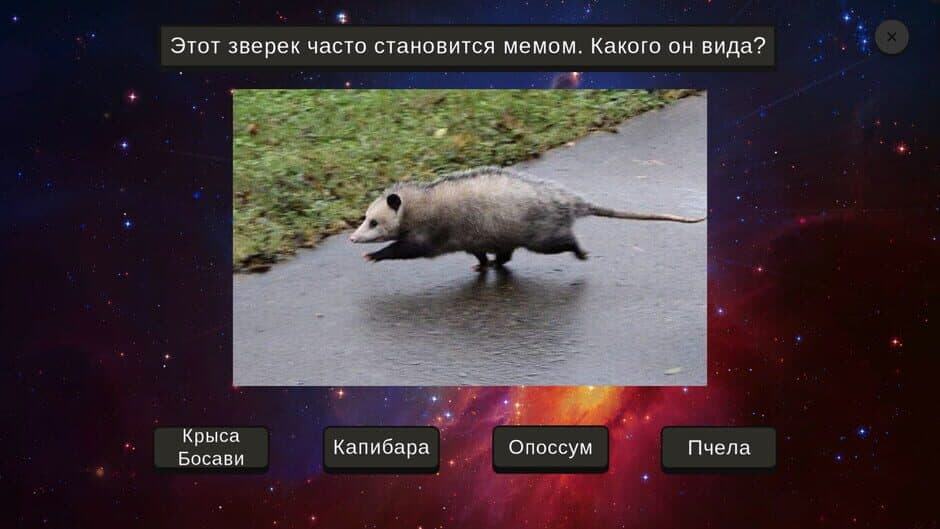 Скриншот 3 из Memology