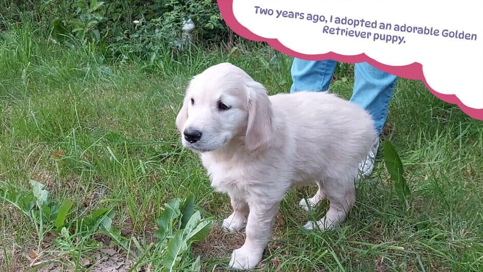 Скриншот 2 из Golden Retriever Simple Life