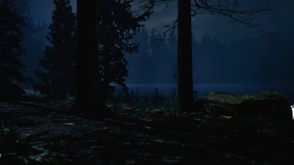 Скриншот 4 из 217: A Psychological Survival Thriller