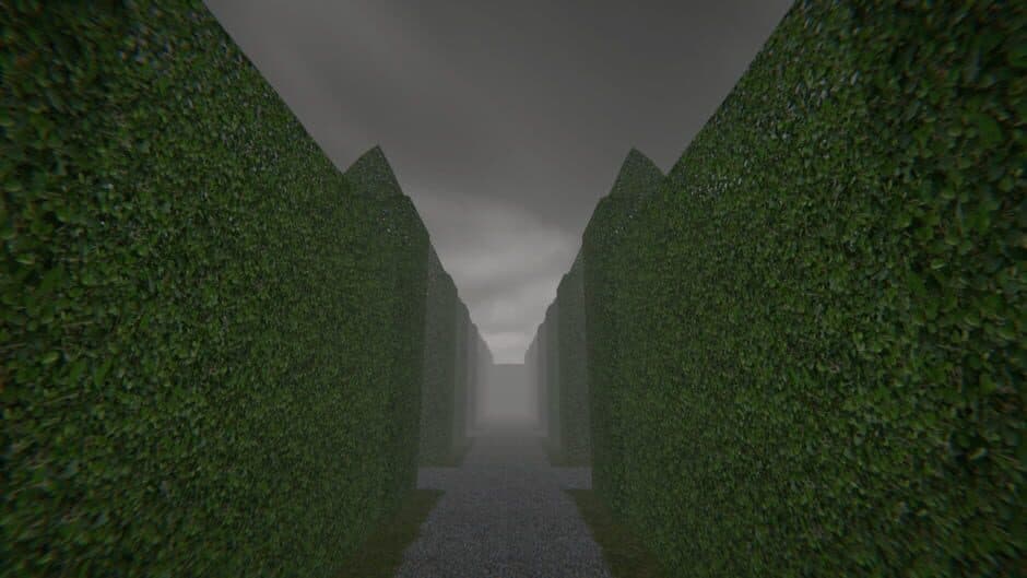 Скриншот 3 из Project Maze