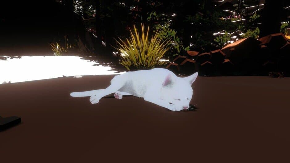 Скриншот 5 из Campfire with Cat