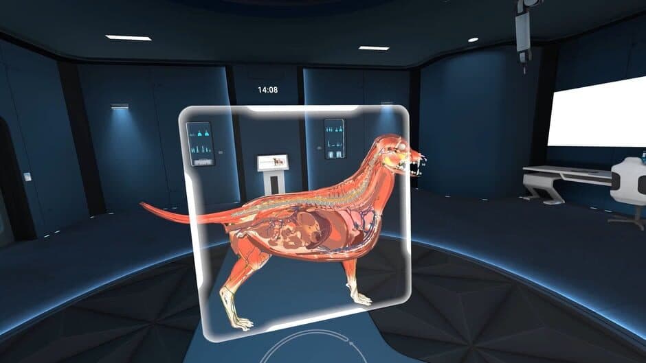 Скриншот 3 из Animal Anatomy VR