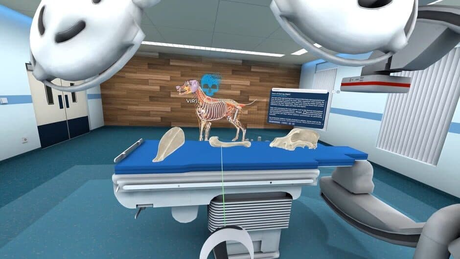 Скриншот 1 из Animal Anatomy VR