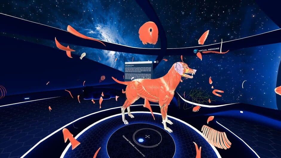 Скриншот 4 из Animal Anatomy VR