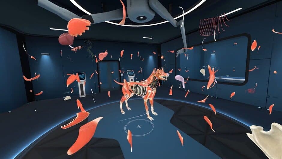 Скриншот 6 из Animal Anatomy VR