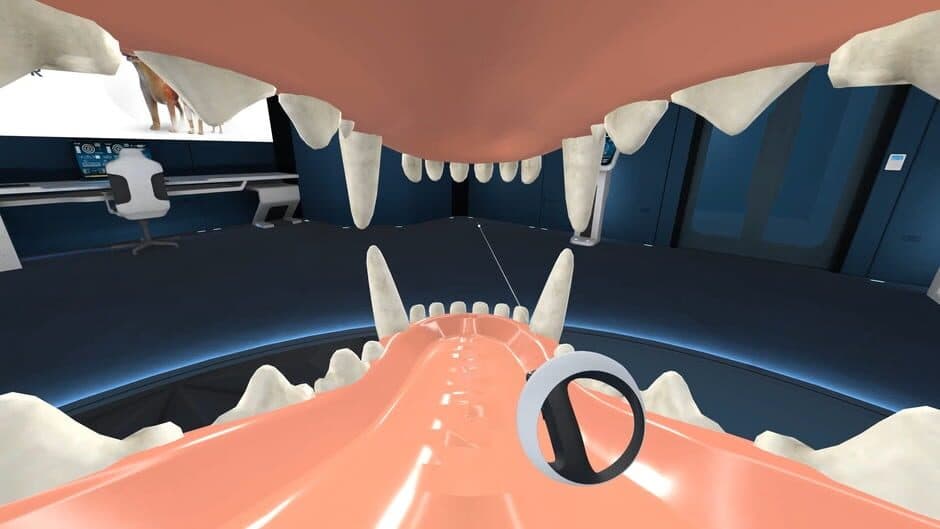 Скриншот 5 из Animal Anatomy VR