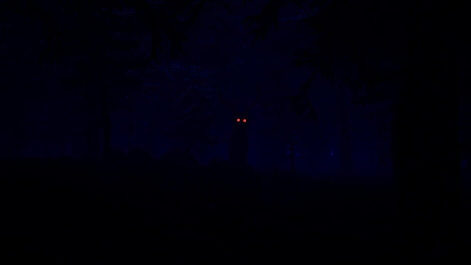 Скриншот 4 из 88 Nights in the Forest