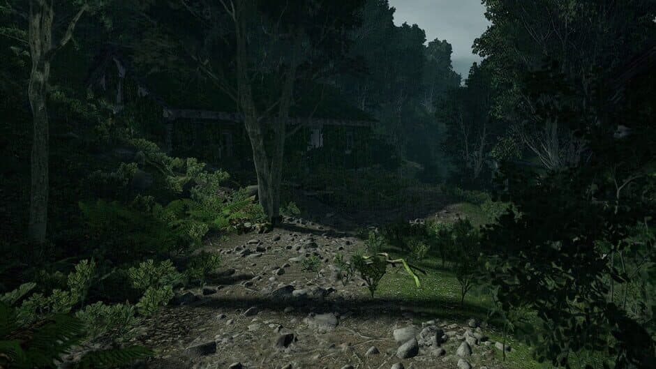 Скриншот 11 из Lushfoil Photography Sim VR
