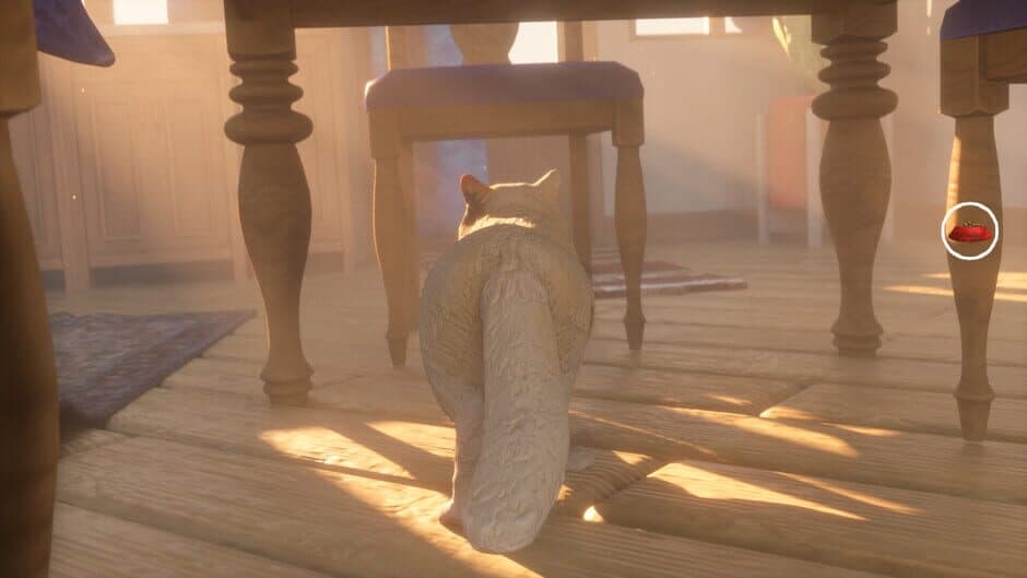 Скриншот 7 из The Cat: Tales of Istanbul