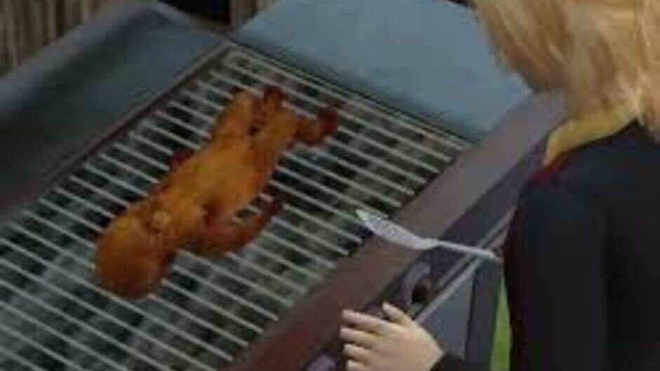 Скриншот 1 из The Sims 2: OMGWTFBBQ