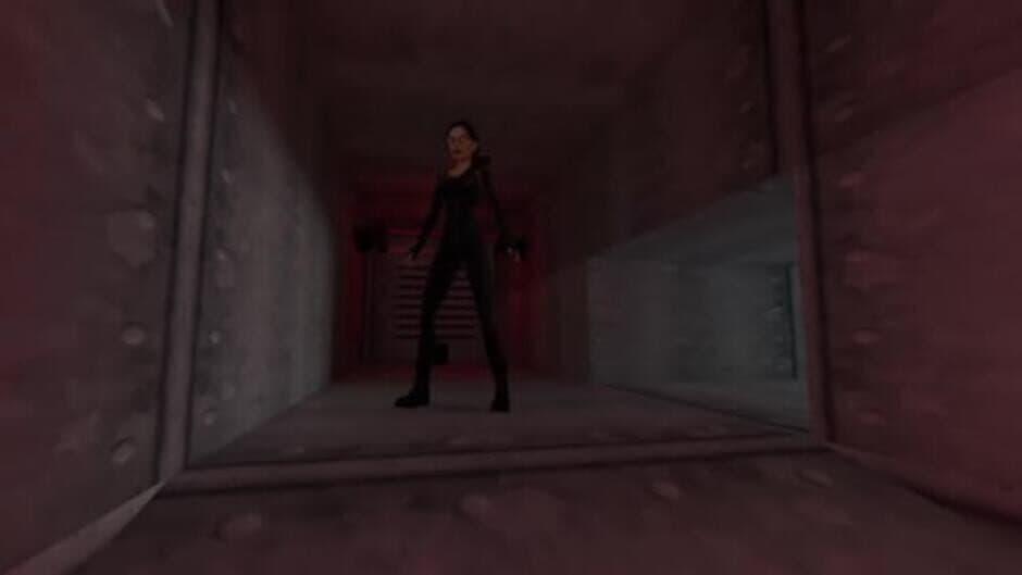 Скриншот 2 из The Tomb Raider & Soul Reaver Remastered Bundle