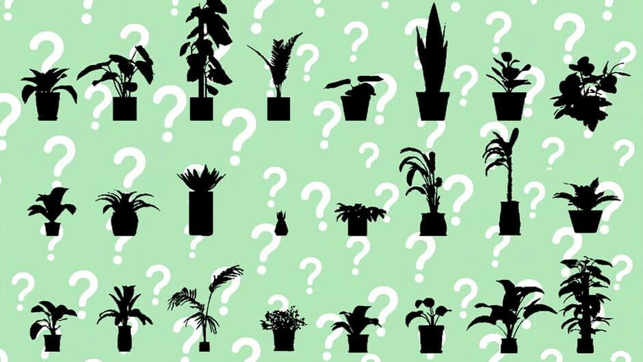 Скриншот 6 из A Game About Plant
