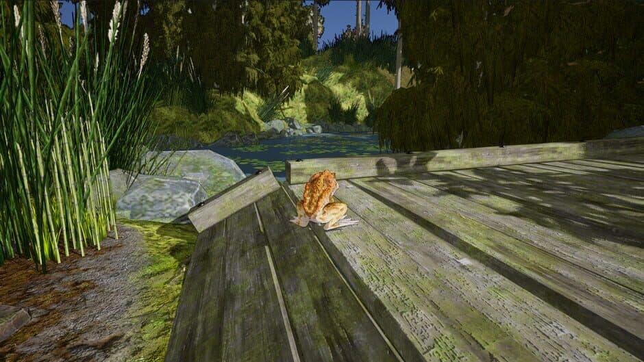 Скриншот 3 из Crazy Toad