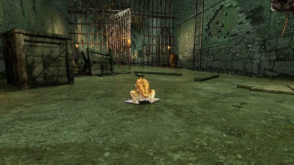 Скриншот 4 из Crazy Toad