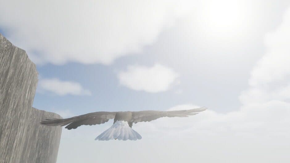 Скриншот 3 из Bird Game 3