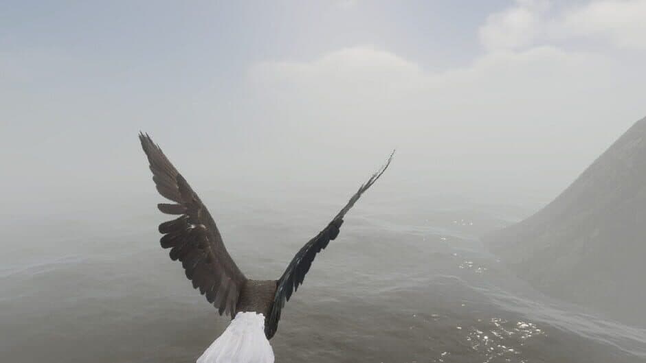 Скриншот 1 из Bird Game 3