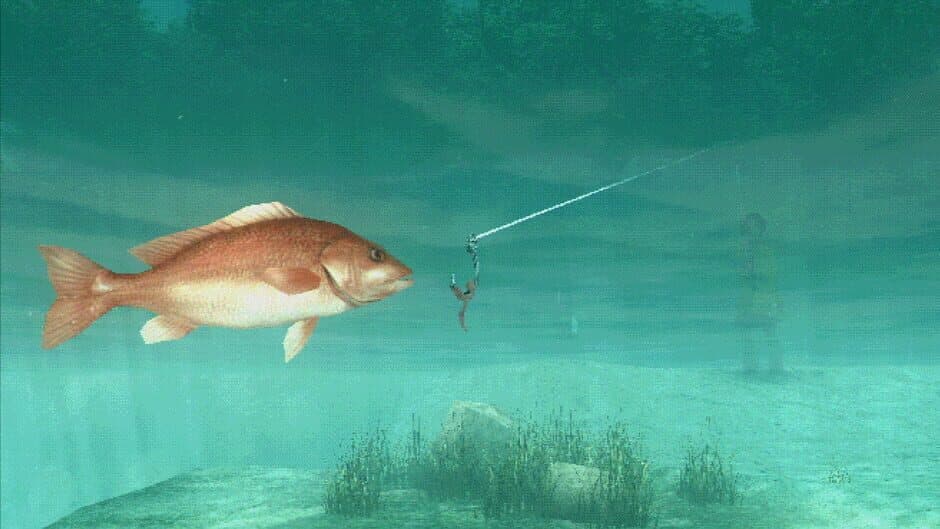 Скриншот 2 из About Fishing