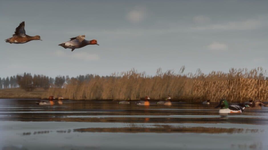 Скриншот 1 из Bult: Hunting Simulator