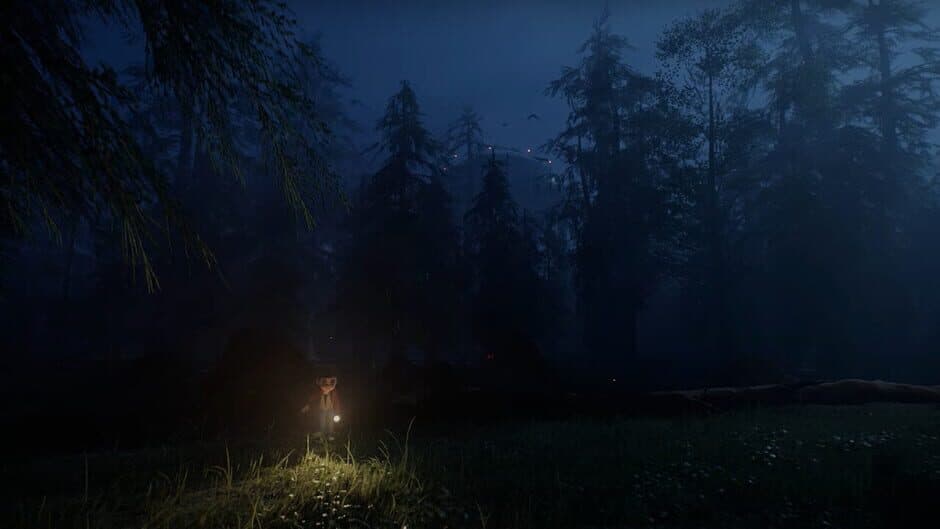 Скриншот 1 из The Last Light