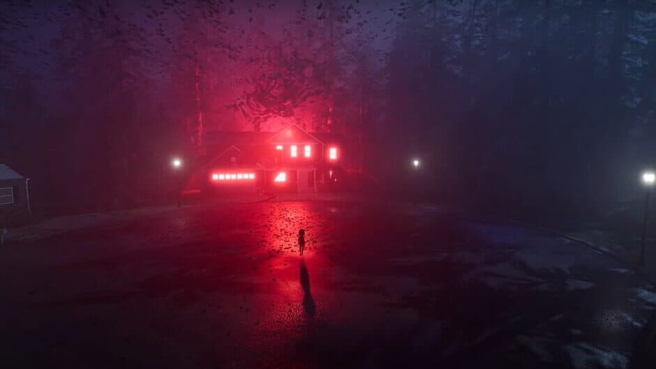 Скриншот 6 из The Last Light