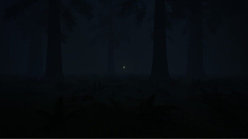 Скриншот 1 из Forest: The Call For Help