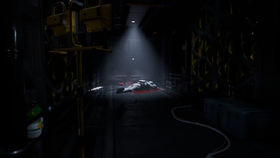Скриншот 1 из The Dark Curiosity