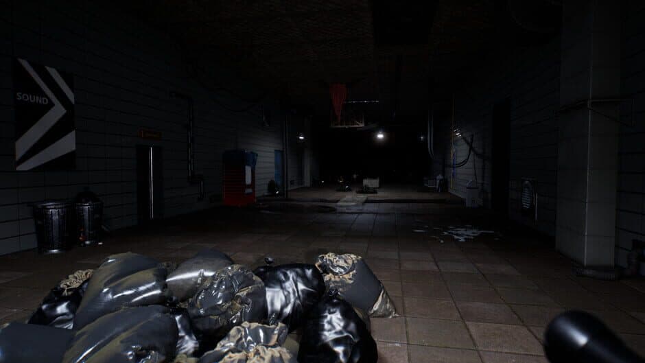 Скриншот 3 из The Late Arrival